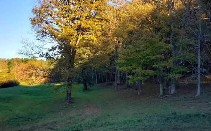 Pictures of Land, Multifamily property located at TBD Crestview Mountain Dr Lot 47, Sparta, NC 28675 for sales - image #1