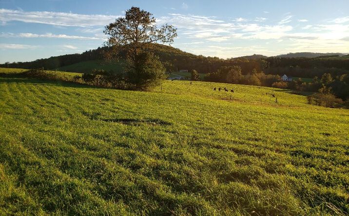 Pictures of Land, Multifamily property located at TBD Crestview Mountain Dr Lot 44, Ennice, NC 28623 for sales - image #1