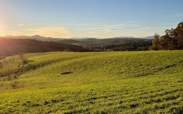 Pictures of Land, Multifamily property located at TBD Crestview Mountain Dr Lot 35, Ennice, NC 28623 for sales - image #1