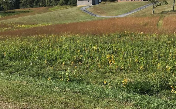 Pictures of Land, Multifamily property located at TBD Lot #30 Chestnutwood Drive, Chilhowie, VA 24319 for sales - image #1