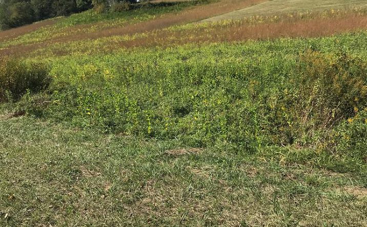 Pictures of Land, Multifamily property located at TBD Lot #29 Chestnutwood Drive, Chilhowie, VA 24319 for sales - image #1