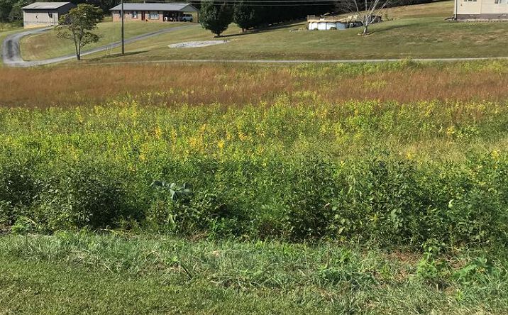 Pictures of Land, Multifamily property located at TBD Lot #31 Chestnutwood Drive, Chilhowie, VA 24319 for sales - image #1