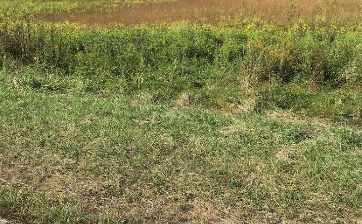 Pictures of Land, Multifamily property located at TBD Lot #28 Chestnutwood Drive, Chilhowie, VA 24319 for sales - image #1