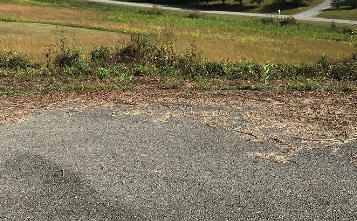 Pictures of Land, Multifamily property located at TBD Lot #23 Christin Lane, Chilhowie, VA 24319 for sales - image #1