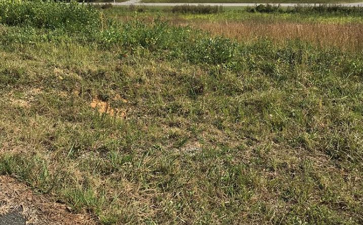 Pictures of Land, Multifamily property located at TBD Lo #24 Christin Lane, Chilhowie, VA 24319 for sales - image #1