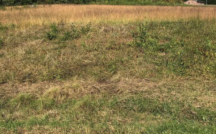 Pictures of Land, Multifamily property located at TBD Lot #25 Christin Lane, Chilhowie, VA 24319 for sales - image #1