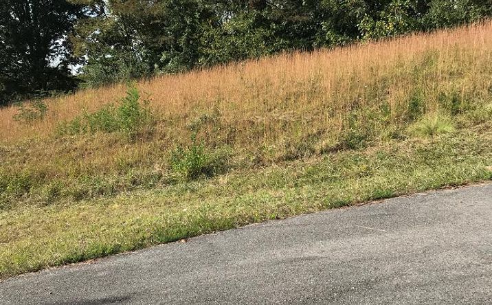 Pictures of Land, Multifamily property located at TBD Lot #21 Christin Lane, Chilhowie, VA 24319 for sales - image #1
