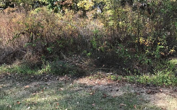 Pictures of Land, Multifamily property located at TBD Lot #11 Elem Drive, Chilhowie, VA 24319 for sales - image #1