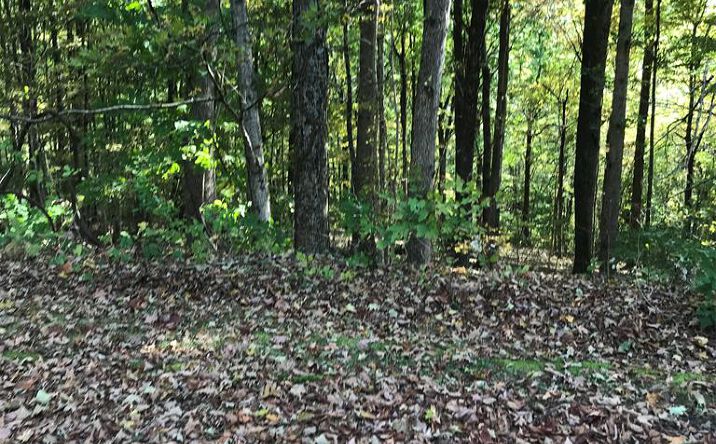 Pictures of Land, Multifamily property located at TBD Lot#5 Elem Drive, Chilhowie, VA 24319 for sales - image #1