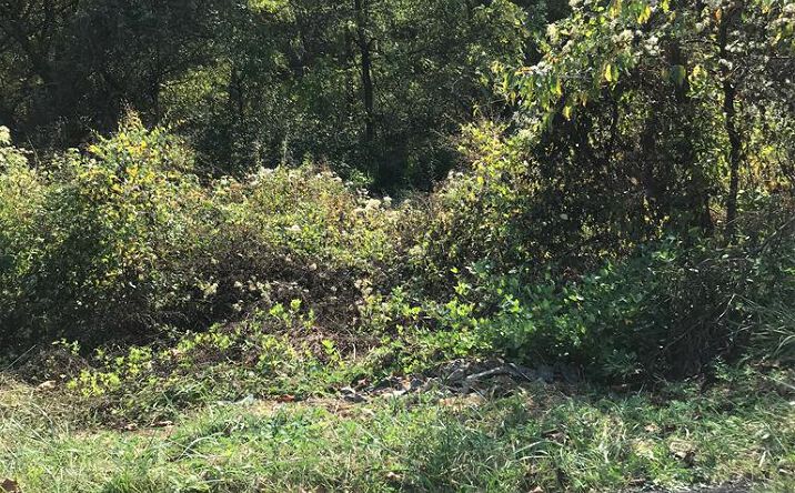 Pictures of Land, Multifamily property located at TBD Lot#9 Elem Drive, Chilhowie, VA 24319 for sales - image #1