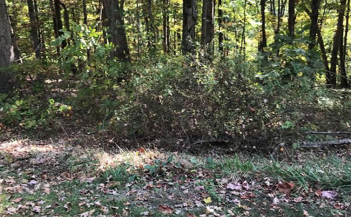 Pictures of Land, Multifamily property located at TBD Lot#3 Elem Drive, Chilhowie, VA 24319 for sales - image #1