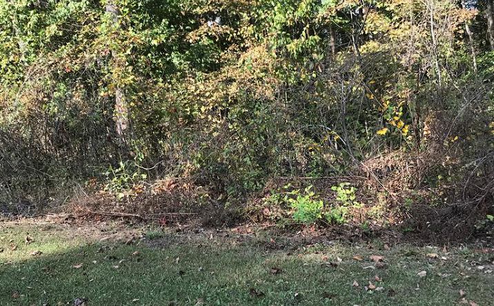 Pictures of Land, Multifamily property located at TBD Lot#8 Elem Drive, Chilhowie, VA 24319 for sales - image #1