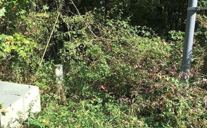 Pictures of Land, Multifamily property located at TBD Lot#45 Chestnutwood Drive, Chilhowie, VA 24319 for sales - image #1