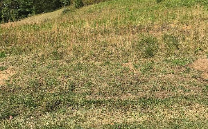 Pictures of Land, Multifamily property located at TBD Lot #38 Brooke Street, Chilhowie, VA 24319 for sales - image #1