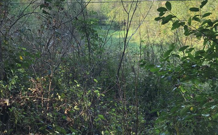 Pictures of Land, Multifamily property located at TBD Lot#47 Grinstead Hill Road, Chilhowie, VA 24319 for sales - image #1