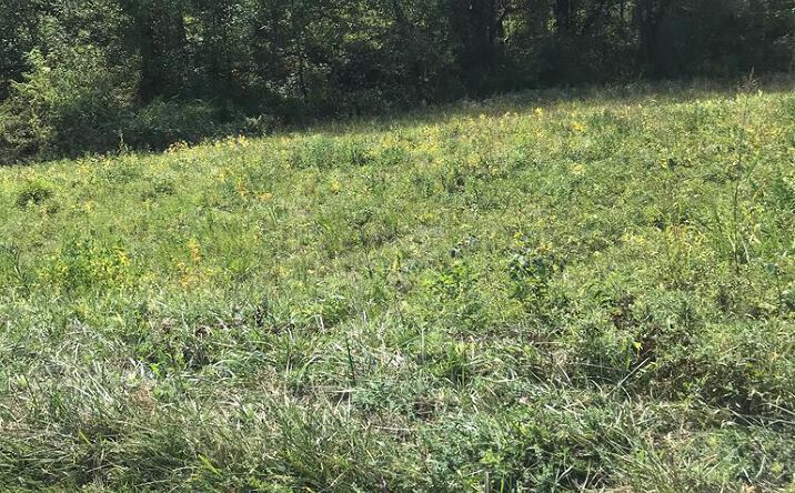 Pictures of Land, Multifamily property located at TBD Lot#40 Brooke Street, Chilhowie, VA 24319 for sales - image #1