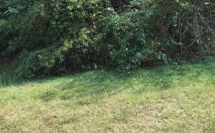 Pictures of Land, Multifamily property located at TBD Lot#37 Brooke Street, Chilhowie, VA 24319 for sales - image #1