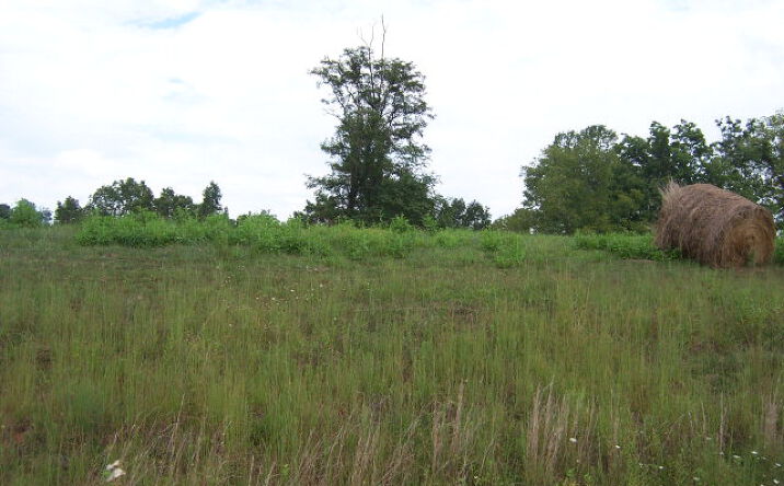 Pictures of Land, Multifamily property located at 0 Lake Bend Court, Abingdon, VA 24211 for sales - image #1