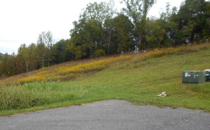 Pictures of Land, Multifamily property located at Lot 33 Summit Drive, Lebanon, VA 24266 for sales - image #1