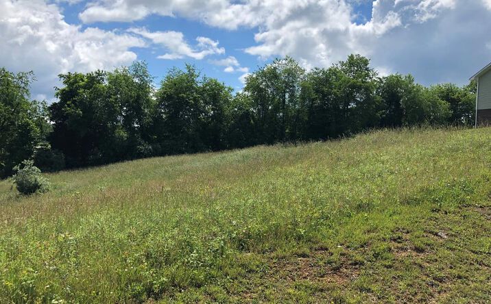 Pictures of Land, Multifamily property located at TBD Village Loop, Abingdon, VA 24210 for sales - image #1