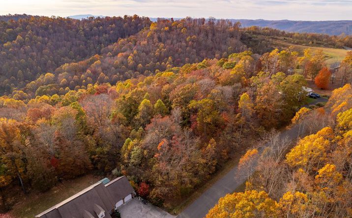 Pictures of Land, Multifamily property located at TBD Airport Road Lot 5, Cedar Bluff, VA 24609 for sales - image #1