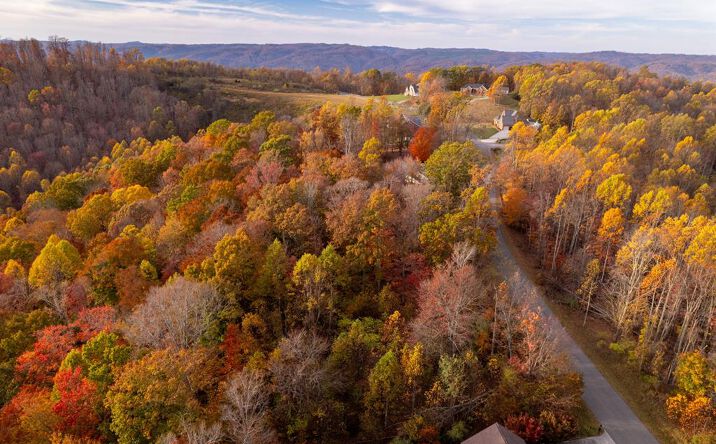 Pictures of Land, Multifamily property located at TBD Airport Road Lot 6, Cedar Bluff, VA 24609 for sales - image #1