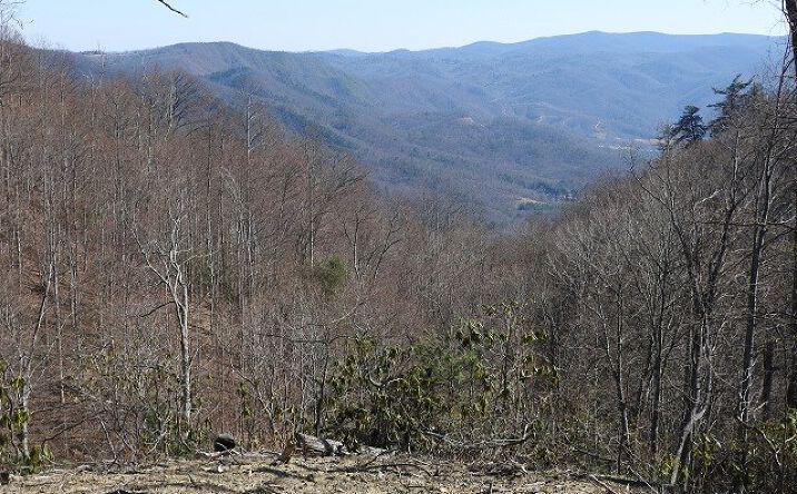 Pictures of Land, Multifamily property located at Lot # 23 Fishers Peak View, Ennice, NC 28623 for sales - image #1
