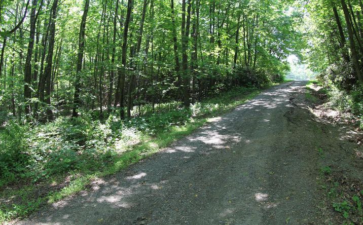 Pictures of Land property located at 0 Misty Acres, Meadows of Dan, VA 24120 for sales - image #1