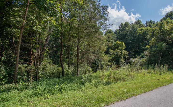 Pictures of Land, Multifamily property located at TBD Preston Place Drive, Abingdon, VA 24211 for sales - image #1