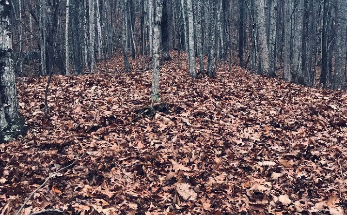 Pictures of Land, Multifamily property located at TBD Allison Gap Road, Saltville, VA 24370 for sales - image #1