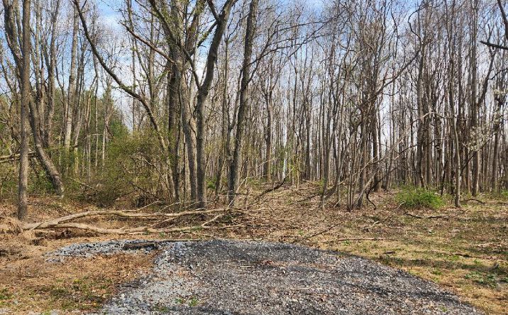 Pictures of Land, Multifamily property located at TBD Allis Chalmers Road, Rural Retreat, VA 24368 for sales - image #1