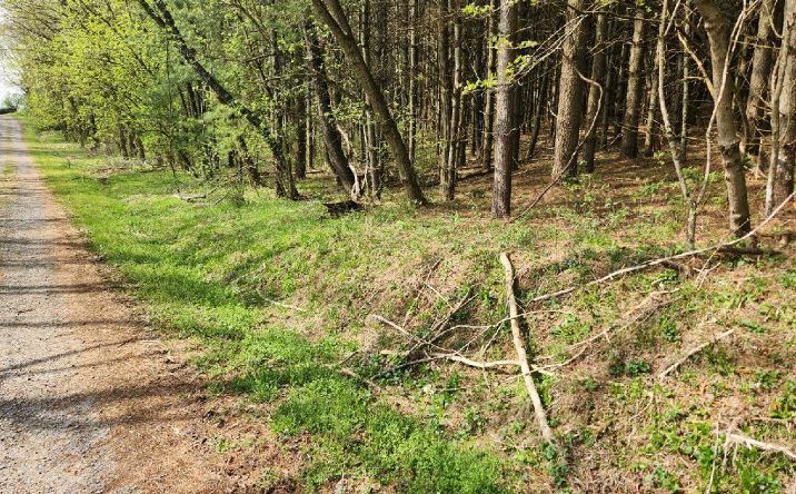 Pictures of Land property located at TBD Allis Chalmers Road, Rural Retreat, VA 24368 for sales - image #1