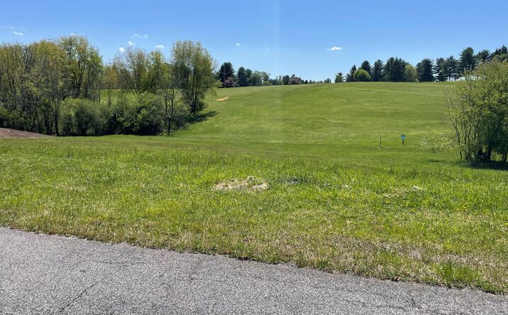 Pictures of Land, Multifamily property located at TBD Caroline Circle, Wytheville, VA 24382 for sales - image #1