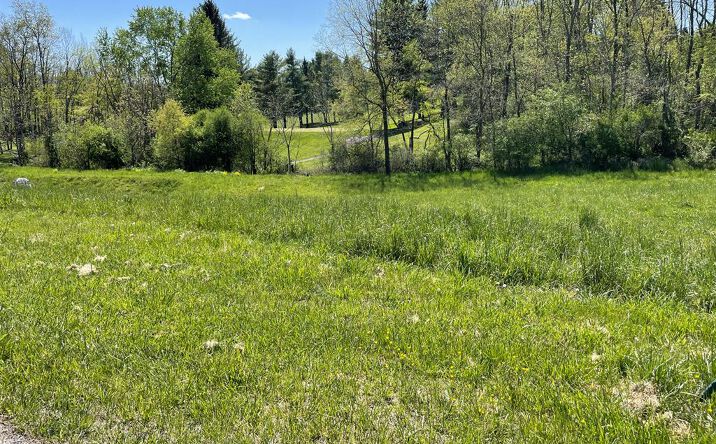 Pictures of Land, Multifamily property located at TBD Caroline Circle, Wytheville, VA 24382 for sales - image #1