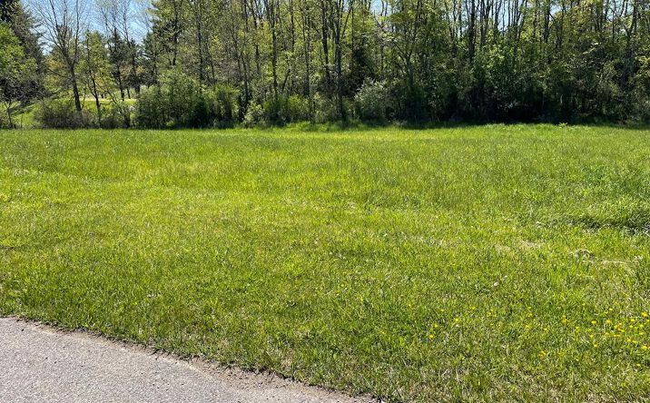 Pictures of Land, Multifamily property located at TBD Caroline Circle, Wytheville, VA 24382 for sales - image #1