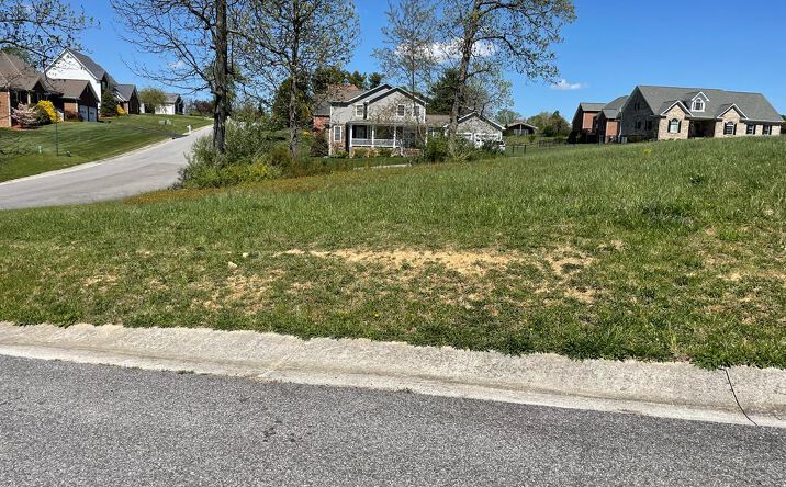 Pictures of Land, Multifamily property located at TBD Allison Lane, Wytheville, VA 24382 for sales - image #1