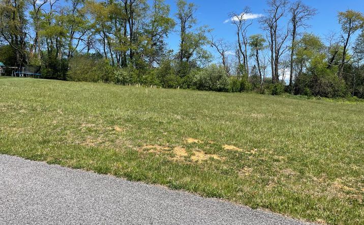 Pictures of Land, Multifamily property located at TBD Caroline Circle, Wytheville, VA 24382 for sales - image #1