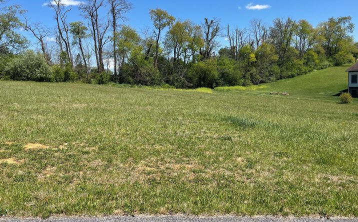 Pictures of Land, Multifamily property located at TBD Caroline Circle, Wytheville, VA 24382 for sales - image #1