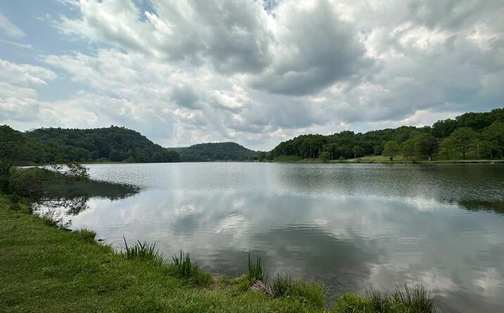 Pictures of Land property located at 14224 Mud Fork Road, Falls Mills, VA 24613 for sales - image #1