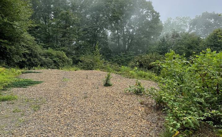 Pictures of Land, Multifamily property located at 00 Buck Hollar Rd, Hillsville, VA 24343 for sales - image #1