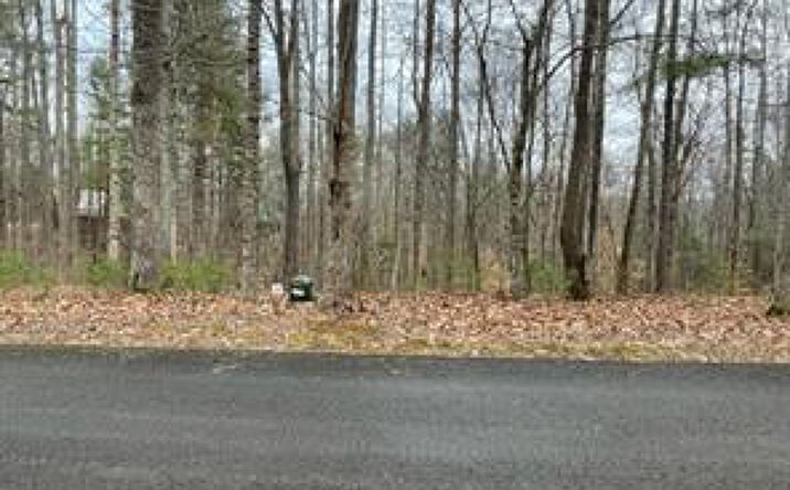 Pictures of Land, Multifamily property located at Lot 1 Reserve Trail, Stuart, VA 24171 for sales - image #1