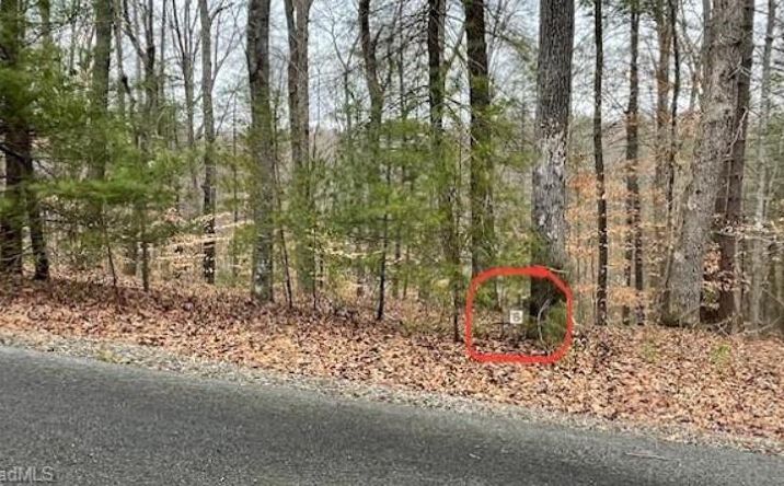 Pictures of Land, Multifamily property located at Lot 6 Woods Haven Lane, Stuart, VA 24171 for sales - image #1