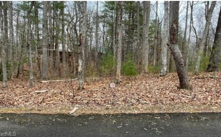 Pictures of Land, Multifamily property located at Lot 33 Woods Haven Lane, Stuart, VA 24171 for sales - image #1