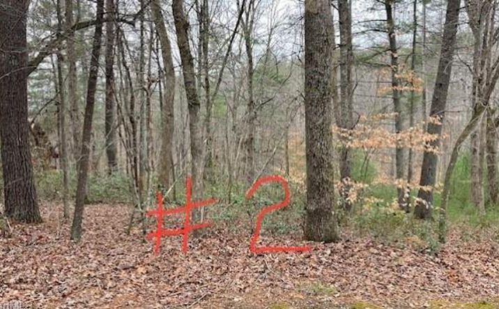 Pictures of Land, Multifamily property located at Lot 2 Reserve Trail, Stuart, VA 24171 for sales - image #1