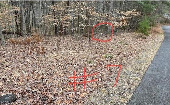 Pictures of Land, Multifamily property located at Lot 7 Woods Haven Lane, Stuart, VA 24171 for sales - image #1