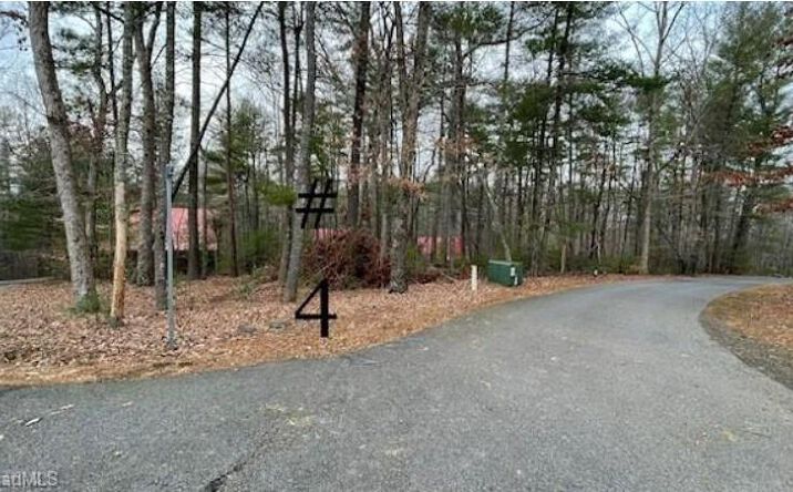 Pictures of Land, Multifamily property located at Lot 4 Reserve Trail, Stuart, VA 24171 for sales - image #1
