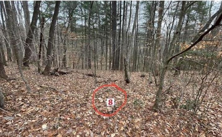 Pictures of Land, Multifamily property located at Lot 8 Woods Haven Lane, Stuart, VA 24171 for sales - image #1