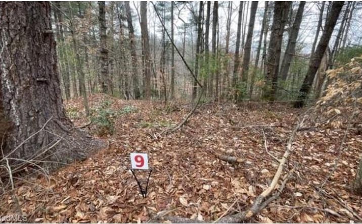 Pictures of Land, Multifamily property located at Lot 9 Woods Haven Lane, Stuart, VA 24171 for sales - image #1
