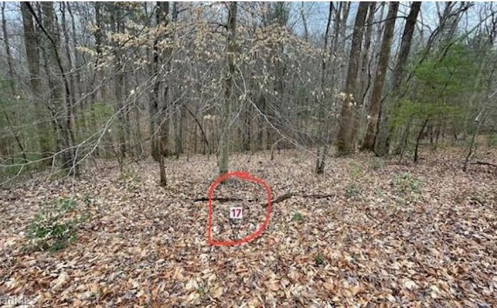 Pictures of Land, Multifamily property located at Lot 17 Woods Haven Lane, Stuart, VA 24171 for sales - image #1