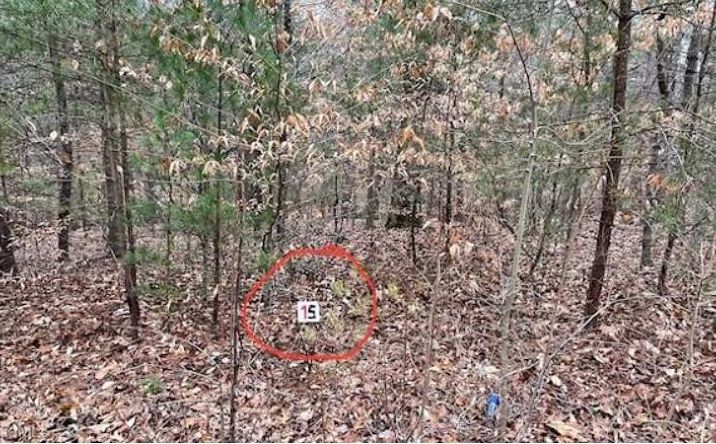 Pictures of Land, Multifamily property located at Lot 15 Woods Haven Lane, Stuart, VA 24171 for sales - image #1